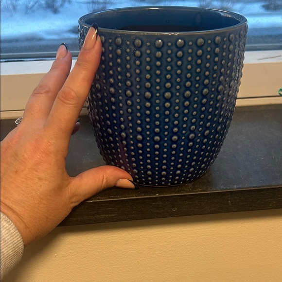 Elegant Blue Dotted Planter - Picture 5 of 6